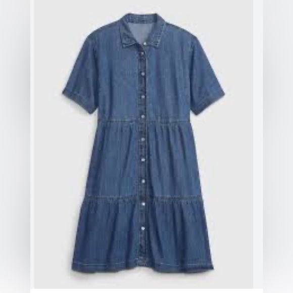 GAP Denim Dress - Picture 1 of 7